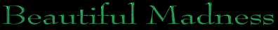 a sample of the Bernhard Modern font